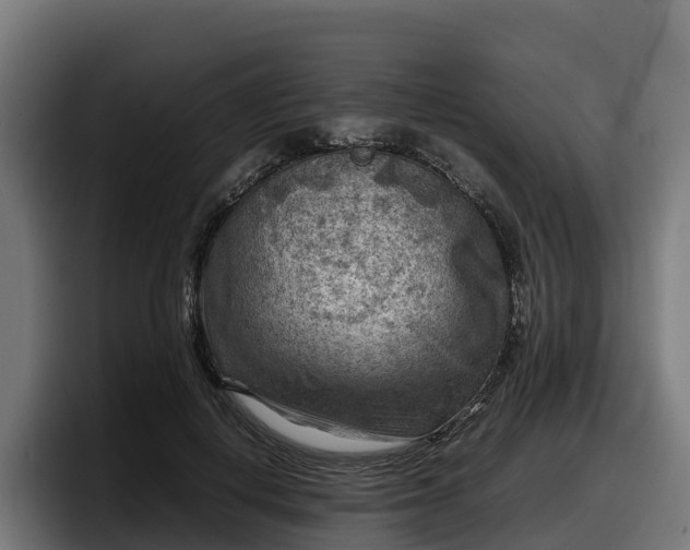 X0000097840648200803201519