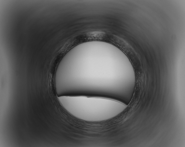 X0000097840649200803201519