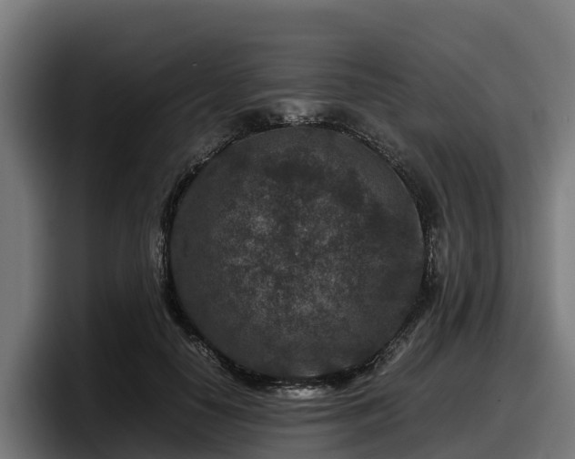 X0000097840650200803201519