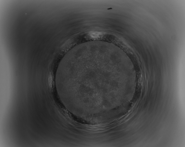 X0000097840651200803201519