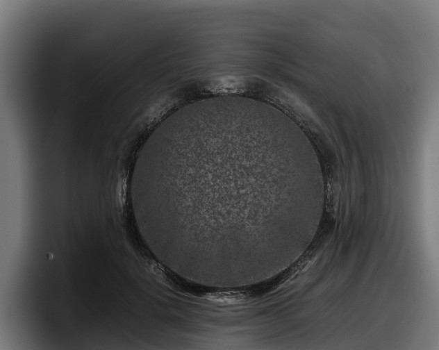X0000097840652200803201519