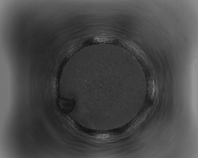X0000097840653200803201519