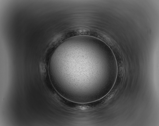 X0000097840654200803201519