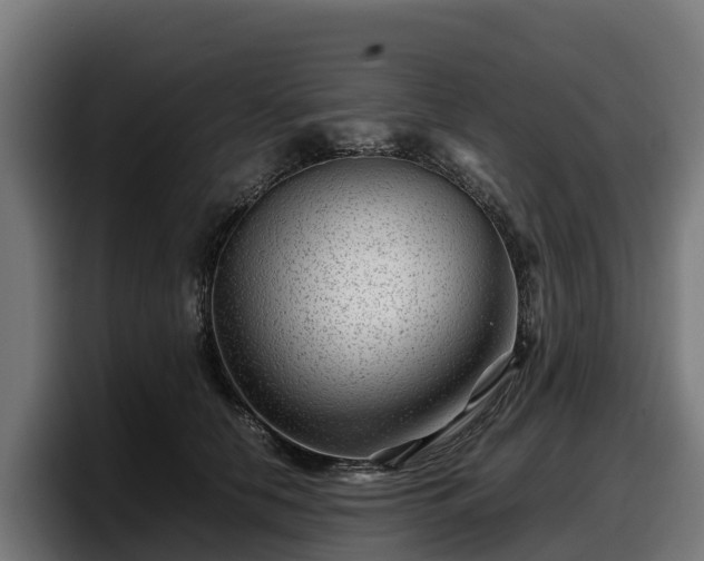 X0000097840658200803201519