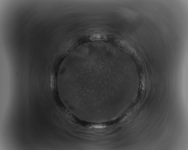 X0000097840659200803201519