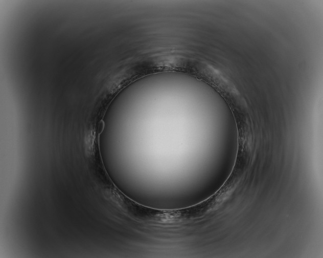 X0000097840660200803201519
