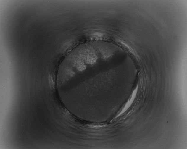 X0000097840661200803201519