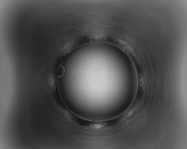 X0000097840662200803201519