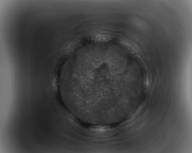X0000097840663200803201519