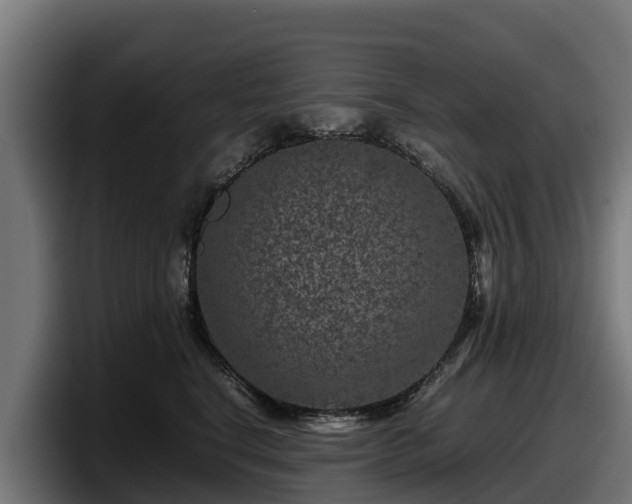 X0000097840664200803201519