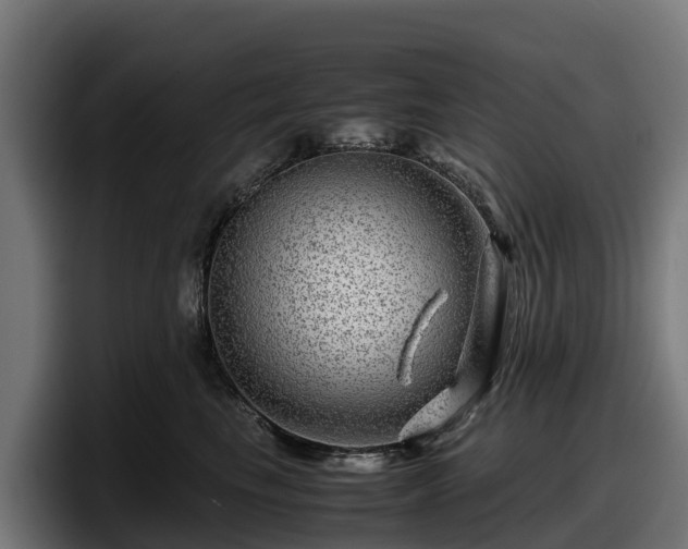 X0000097840665200803201519