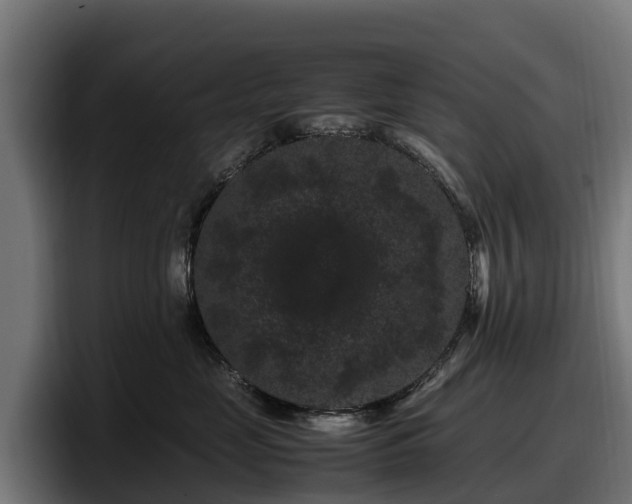 X0000097840669200803201519