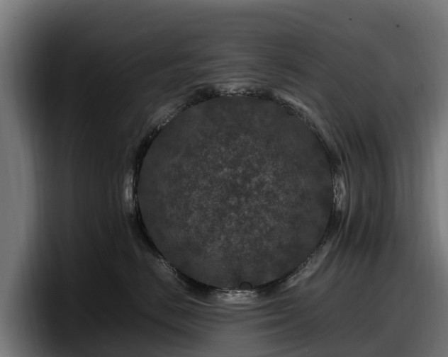 X0000097840670200803201519