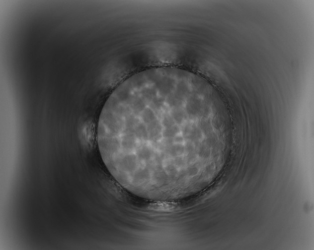 X0000097840672200803201519