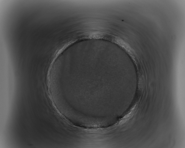 X0000097840673200803201518