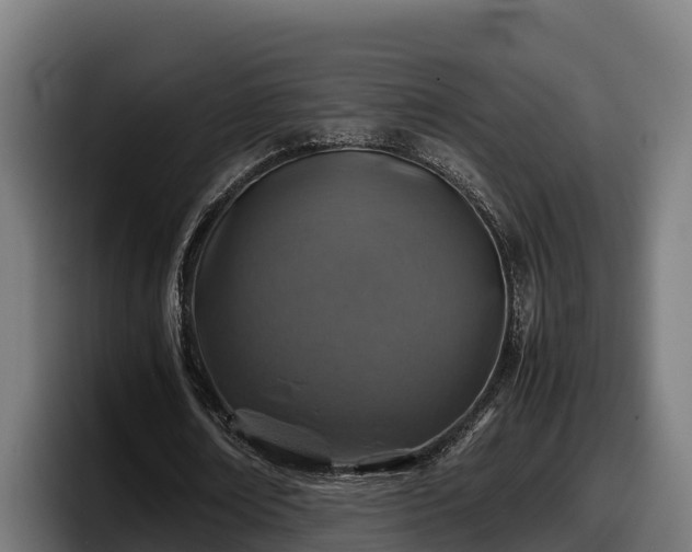 X0000097840674200803201518