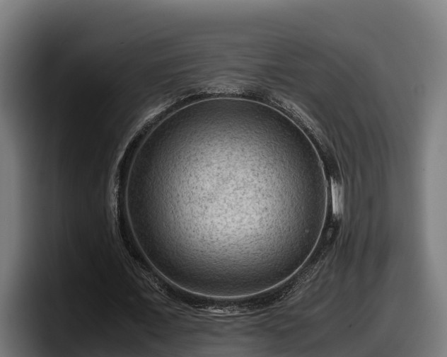 X0000097840675200803201518