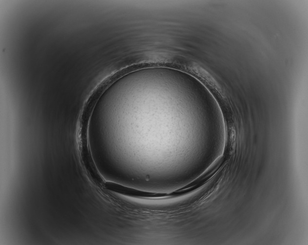 X0000097840676200803201518