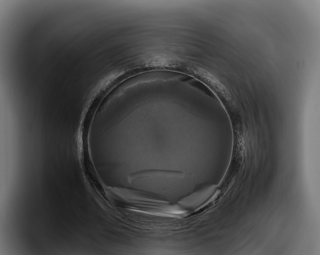 X0000097840678200803201518