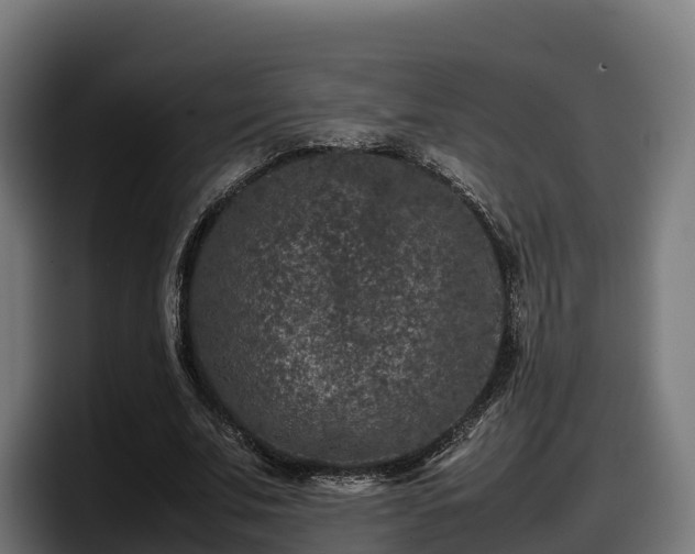 X0000097840679200803201518