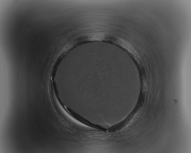 X0000097840681200803201518