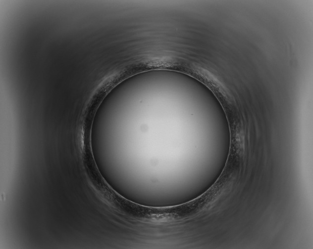 X0000097840686200803201518