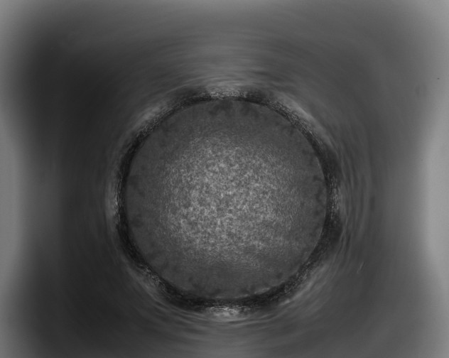 X0000097840687200803201518