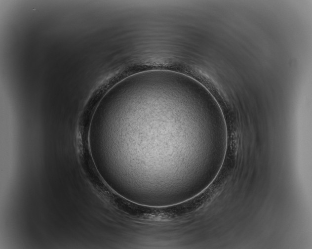 X0000097840688200803201518