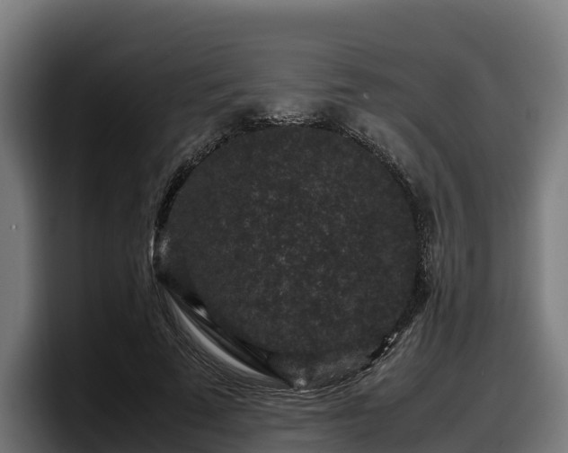 X0000097840689200803201518