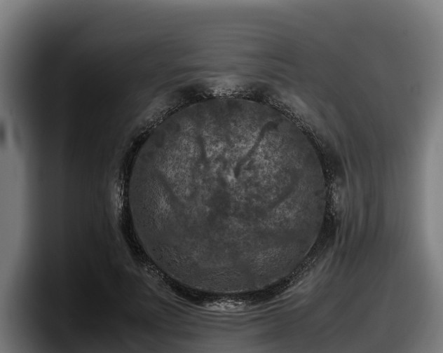 X0000097840691200803201518