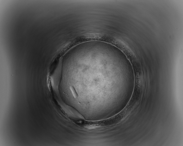 X0000097840692200803201518