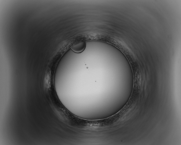 X0000097840694200803201518