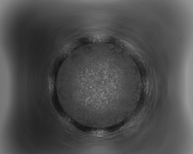 X0000097840695200803201518