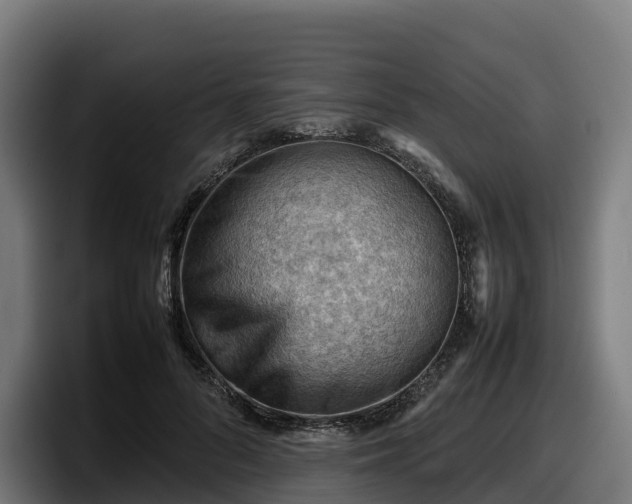 X0000097840696200803201518