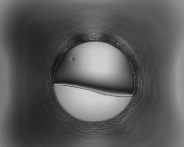 X0000097840697200803201518