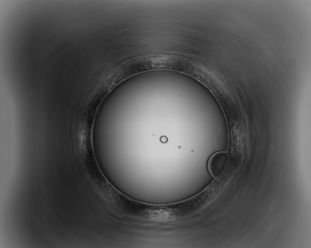 X0000097840698200803201518