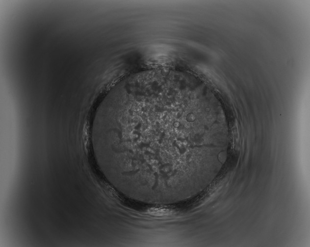 X0000097840699200803201518