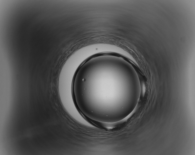 X0000097840701200803201518