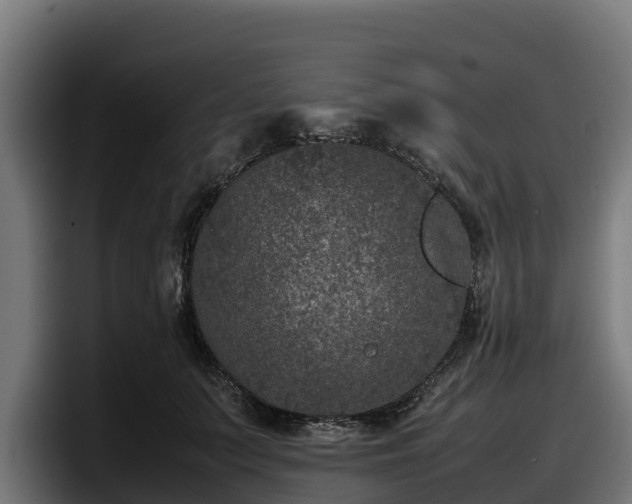 X0000097840703200803201518