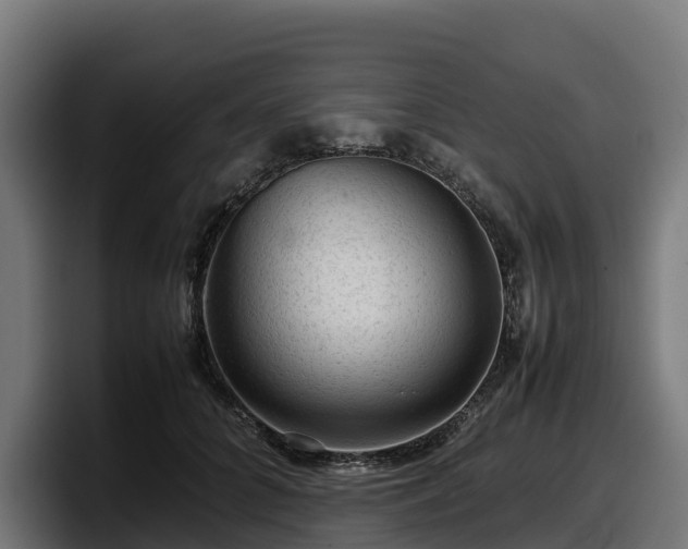 X0000097840704200803201518
