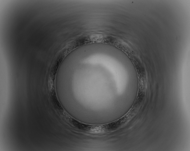 X0000097840705200803201518