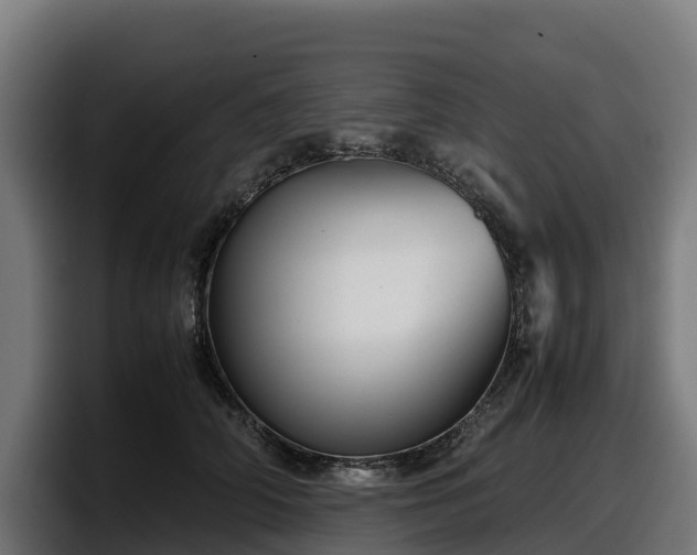 X0000097840706200803201518