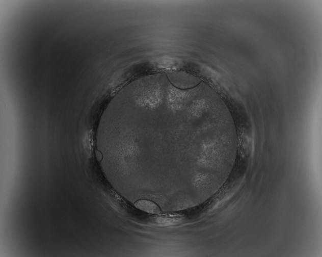 X0000097840707200803201518