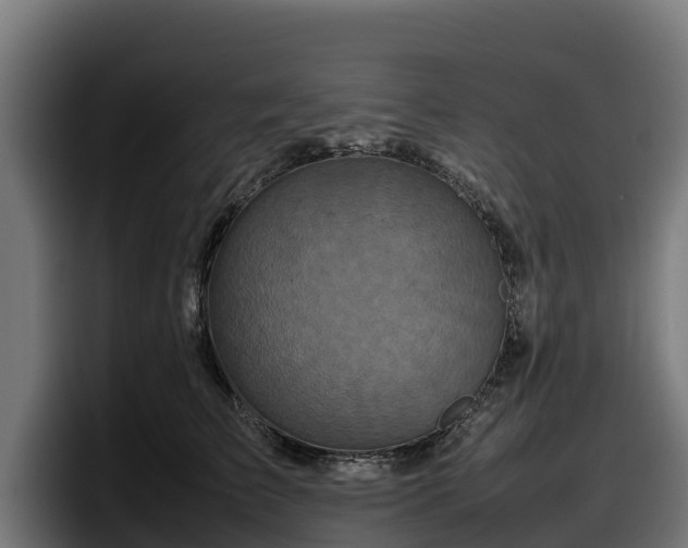 X0000097840709200803201518
