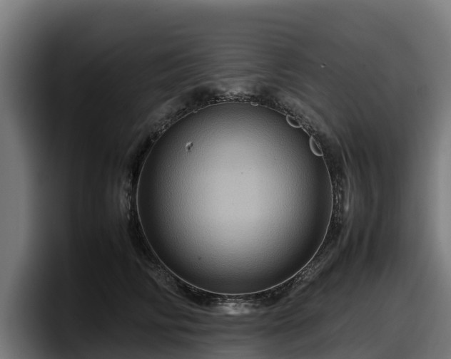 X0000097840710200803201518