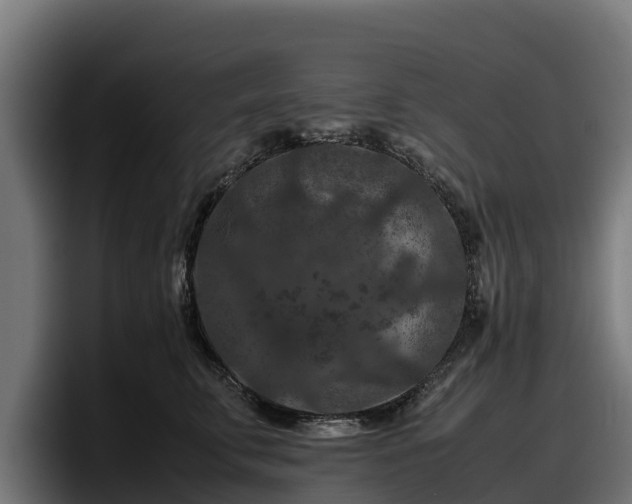 X0000097840711200803201518