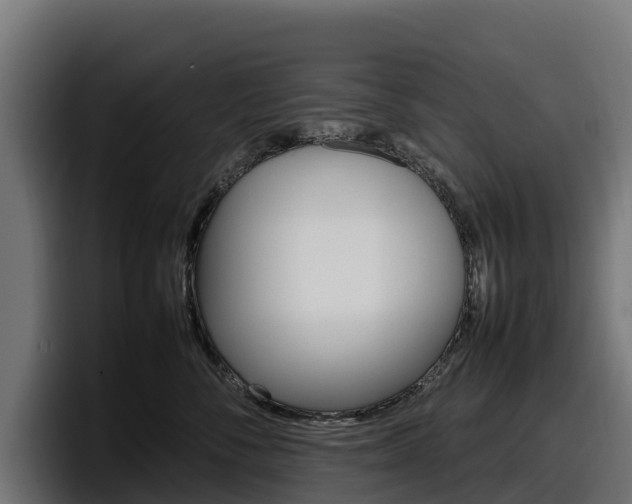 X0000097840716200803201518