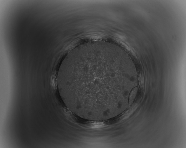 X0000097840719200803201518