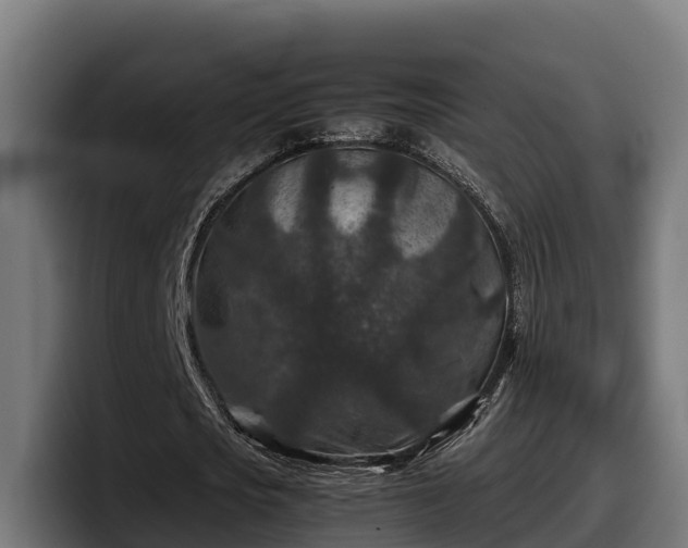 X0000097840721200803201517