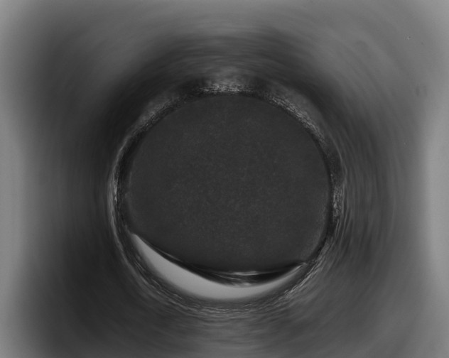 X0000097840722200803201517